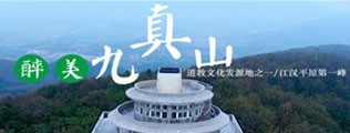 暴操老骚逼区